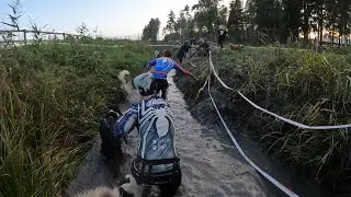Muddy Paws - Team Avengers 2023-09-23