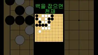 바둑 묘수 사활 - 기똥차게 천재적인 묘수를 찾아보세요. #바둑 #사활 #바둑강좌