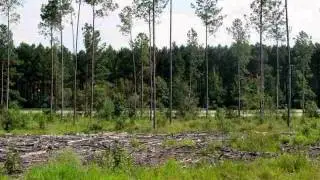 Mls# 132522 Is A 6.49 Acre Lot For Sale In Hardeeville, Sc I