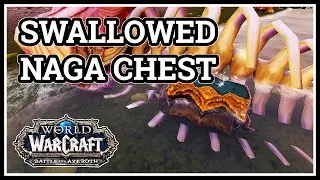 Swallowed Naga Chest WoW
