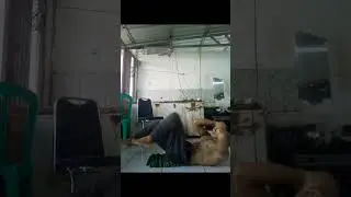 tantangan sit up 100 kali#shorts