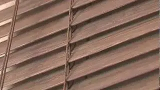 Jalusi_DivX.avi