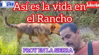 Ya agarramos los caballos salvajes &iacute;bamos de regreso a casa @FROY