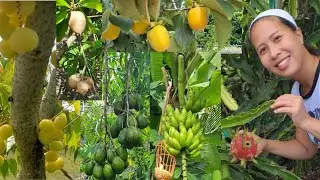 Picking tropical fruits at my Friend's house in SW Florida.