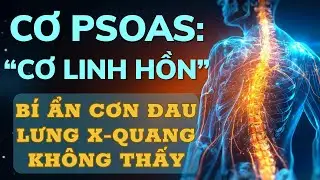 Cơ Psoas: 