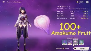 108 Amakumo Fruit In 6 Mins | Raiden Shogun's Material Farming