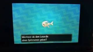 POK&Eacute;MON ULTRAMOND: Shiny Lusardin [Twitchmitschnitt]