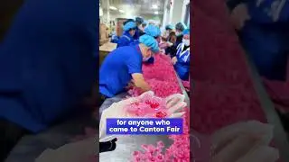 #Free Laundry Pod Samples #Canton Fair