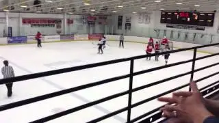 Hockey 7/30 (5/5)