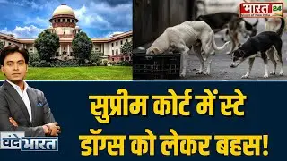 Supreme Court में स्टे डॉग्स पर बहस | Dog Attacks | Street Dogs Issue | Kapil Sibal | SC Hearing