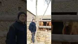 Музей под открытым небом.(обзор) Qala