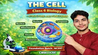 The Cell: Structure & Function 🧬 | Part 3 |Structure of Animal and Plant Cell| Class 6 Biology