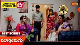 Moodu Mullu - Best Scenes | 25 Dec 2025 | Telugu Serial | Gemini TV