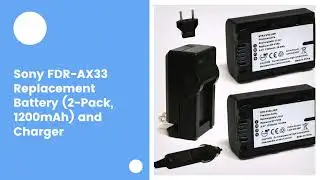 Sony FDR-AX33 Replacement Battery (2-Pack, 1200mAh) and Charger