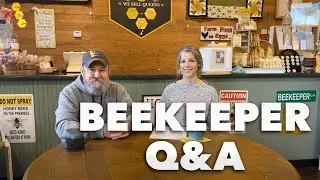 Springtime Beekeeping Q&A with a Professional Beekeeper (2023)
