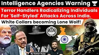 A Ticking Time Bomb: White Collar Terror in a Lone Wolf Fashion Over Technological Facade