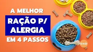 206 | MELHOR RAÇÃO PARA ALERGIA DE PELE, ATOPIA E DERMATITE DE CACHORRO E GATO
