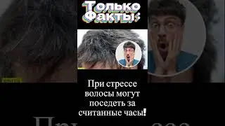 Факт 31   Стресс и седина