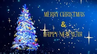 2025 CHRISTMAS LIGHTS #merrychristmas #christmaslights