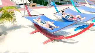 Amacas en Florida.