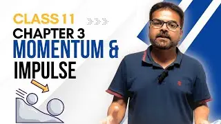 Momentum and Impulse Explained | Class 11 Physics Chapter 3