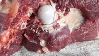Full Cow Cutting Video  Traditional Village Butchering Style #viralvideo #meatmarket #meatlovers