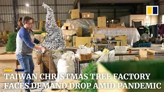 Taiwan&rsquo;s &lsquo;King of Christmas Trees&rsquo; grapples with demand drop amid coronavirus pandemic