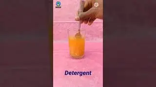 Turmeric and Detergent Experiment||#experiment||#shorts||Crazy Science