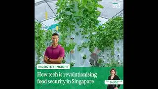 Industry Insight: Is technology the solution to Singapore's food security concerns?