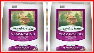 Morning Song 11400 Year Round Wild Bird Food, 20 Pound