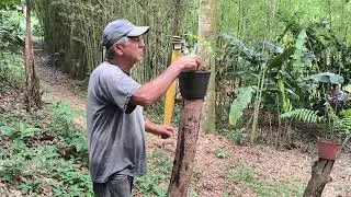 Cuidando das flores do patrão!