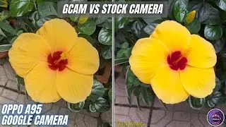 Google Camera 8.1 for Oppo A95 | Gcam vs Camera Stock