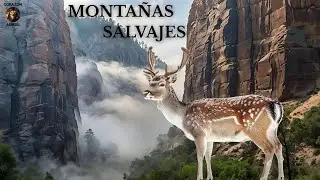 Vida en las Alturas: La fuerza de las Monta&ntilde;as y los Animales que la Habitan