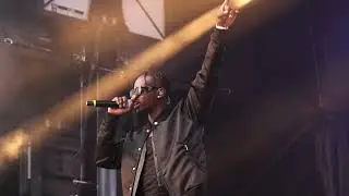 SRE VIMF Full Performance (2024)