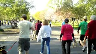 See Spot Run 2