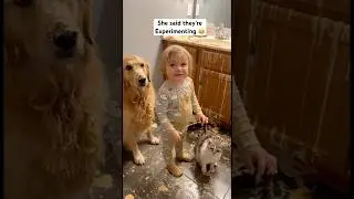 Mom Asked who did this #toddlers #dogs #parentlife #funnyshorts #shorts