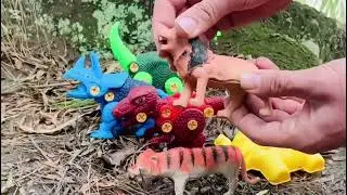 Plastic animal figure animal toys collection.
