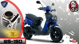 344 ITALIKA WS FUGA DE ACEITE