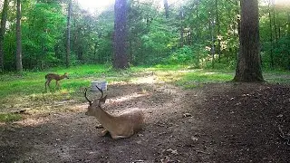 I'm Just Waiting On A Friend