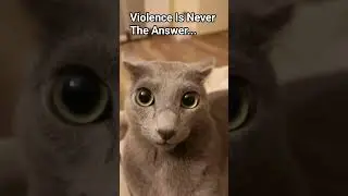 It's the solution #cat #funny #fyp #memes #georgieebom