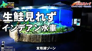 生鮭の遡上見れず【インデアン水車】【千歳水族館】【北海道千歳市】【2025秋】【北海道ぼっち旅】【GoPro11】【Osmo Pocket3】