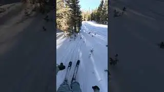 Bushwhacker at Keystone ◆ #skiing #mogulskiing #treeskiing #keystoneresort
