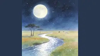 钢琴曲纯音乐 放松解压