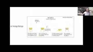 Cell Theory
