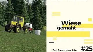 Old Farm-New Life | Wiese gem&auml;ht | #25 | FS19 | Ellerbach | Timelapsefarming