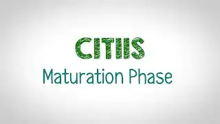CITIIS Maturation Phase