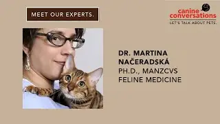 Canine Conversations | How much protein should cats eat? Why it is important? Dr. Martina Načeradsk&aacute;