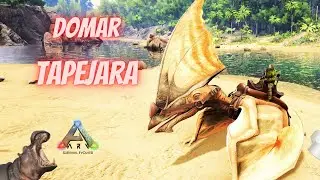Como Domar Tapejara - Ark Survival Evolved