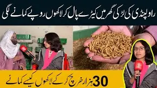 Ghar Me Keray Paal Kar Lakhon Kamane Wali Larki | Business of Mealworms in Pakistan By Tahira Anjum