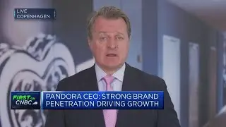 We are trying to democratize diamonds, Pandora CEO says